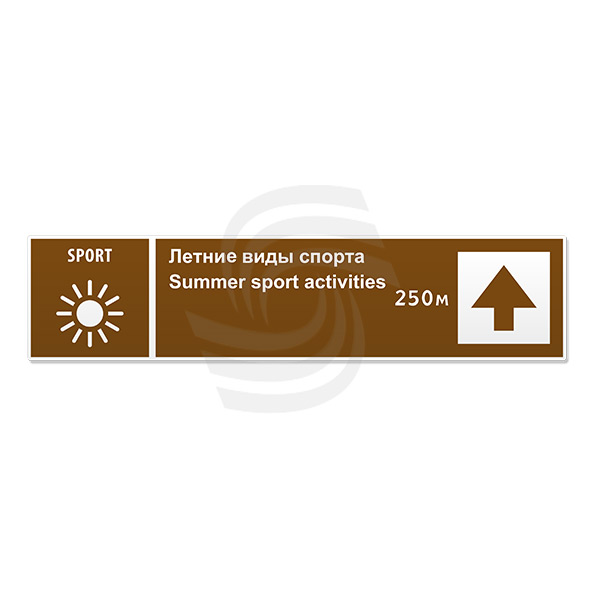 .31   / Summer sport activities